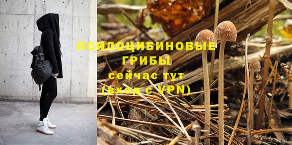 амф Инта