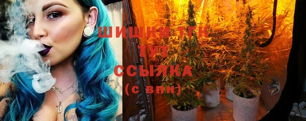 прущая мука Каменка