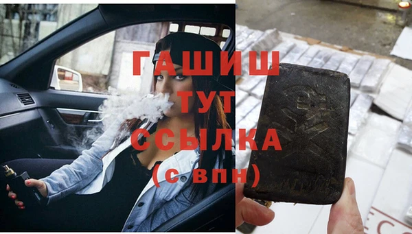 соль ск Ветлуга