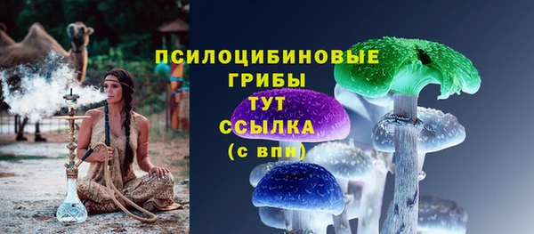дживик Инсар