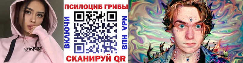 Псилоцибиновые грибы GOLDEN TEACHER  Купить  Железноводск 